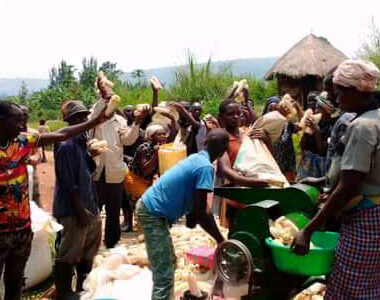 Agribusiness Development and Capacity Building Agribusiness Development and Capacity Building